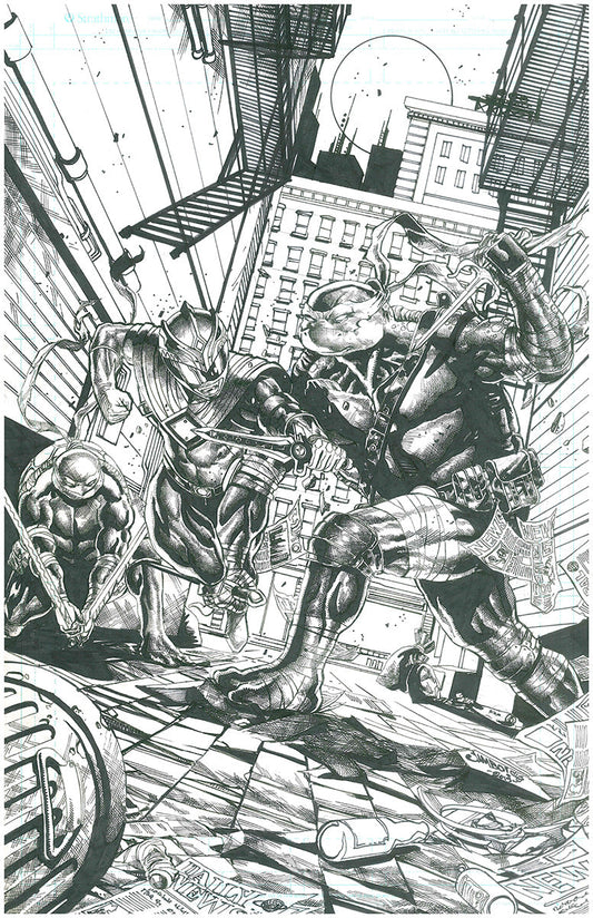 POWER RANGERS TEENAGE MUTANT NINJA TURTLES #1 by Jimbo Salgado [ORIGINAL ART]